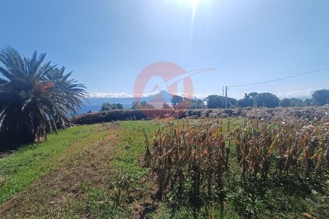 Byhus i Velas, Sao Jorge, Velas - € 65.000 | Ref: M1030 - foto 8