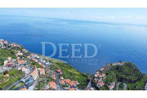 Helårsgrund i Ribeira Brava, Madeira, Ribeira Brava - € 96.500 | Ref: DEED/1013 - foto 3