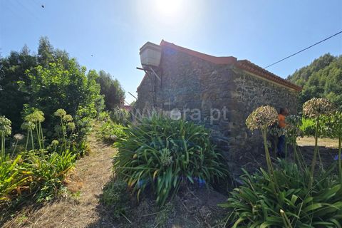 Erhvervsejendom i Calheta, Madeira, Calheta - € 120.000 | Ref: 081250201 - foto 16