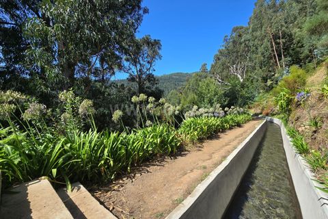 Erhvervsejendom i Calheta, Madeira, Calheta - € 120.000 | Ref: 081250201 - foto 21