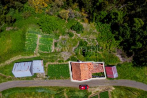 L'establiment comercial a Calheta, Madeira, Calheta - € 120.000 | Ref: 081250201 - foto 3