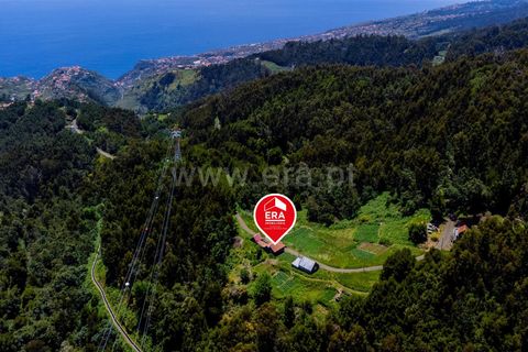 L'establiment comercial a Calheta, Madeira, Calheta - € 120.000 | Ref: 081250201 - foto 17