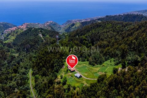 L'establiment comercial a Calheta, Madeira, Calheta - € 120.000 | Ref: 081250201 - foto 18