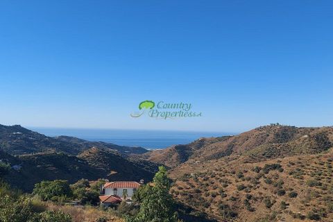 Landejendom i Competa, Malaga, Competa - € 1.285.000 | Ref: 7942 - foto 3