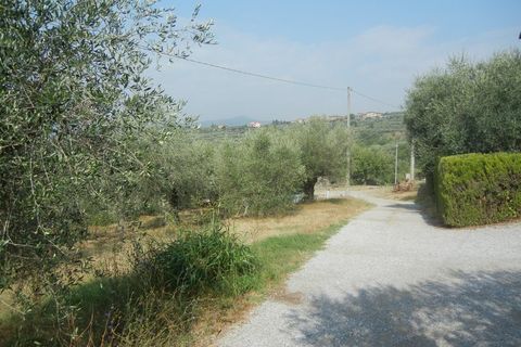 Landejendom i Panicale, Perugia, Panicale - € 68.000 | Ref: P248 - foto 10