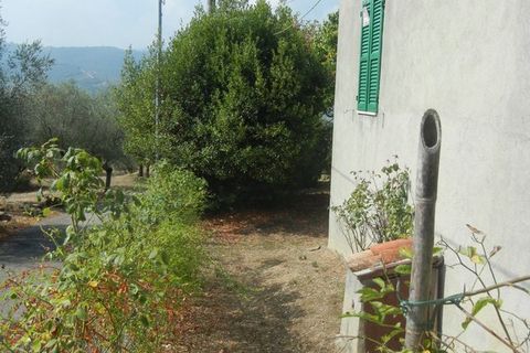 Landejendom i Panicale, Perugia, Panicale - € 68.000 | Ref: P248 - foto 11