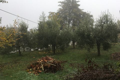 Byhus i Panicale, Perugia, Panicale - € 70.000 | Ref: P180 - foto 11