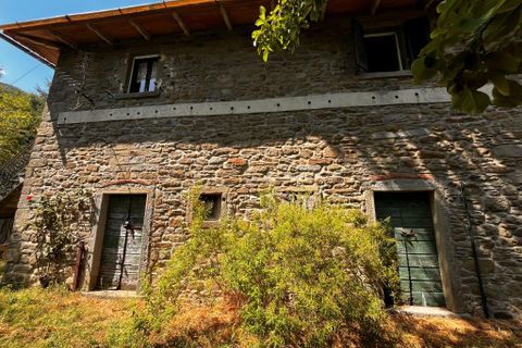 Farm hus i Cortona, Arezzo, Cortona - € 270.000 | Ref: P036 - foto 18