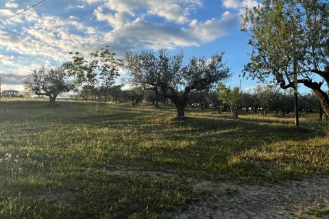 Villa a Pianella, Pescara, Pianella - € 175.000 | Ref: 1844387 - foto 3