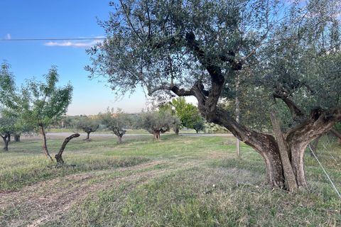 Villa a Pianella, Pescara, Pianella - € 175.000 | Ref: 1844387 - foto 9