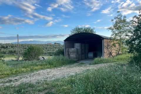 Villa a Pianella, Pescara, Pianella - € 175.000 | Ref: 1844387 - foto 26