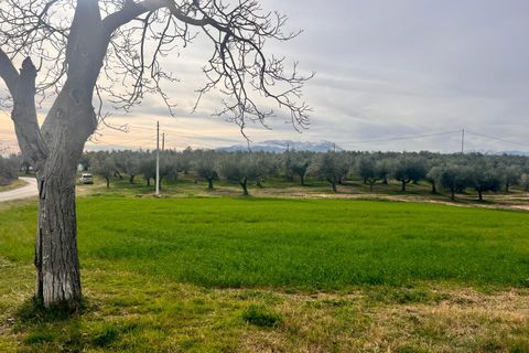 Villa a Pianella, Pescara, Pianella - € 175.000 | Ref: 1844387 - foto 30