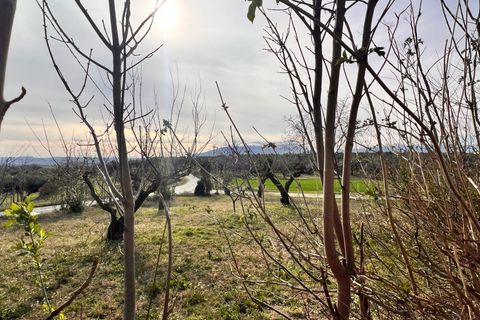 Villa a Pianella, Pescara, Pianella - € 175.000 | Ref: 1844387 - foto 34