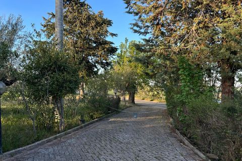 Villa a Pianella, Pescara, Pianella - € 175.000 | Ref: 1844387 - foto 40