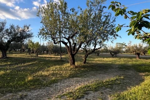 Villa a Pianella, Pescara, Pianella - € 175.000 | Ref: 1844387 - foto 41