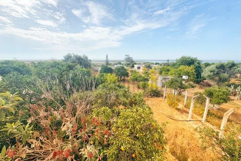 Villa a Moncarapacho, Faro, Moncarapacho - € 600.000 | Ref: BPH0179 - foto 14