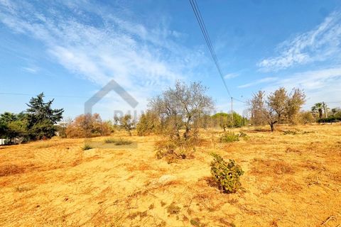 Villa a Moncarapacho, Faro, Moncarapacho - € 600.000 | Ref: BPH0179 - foto 33