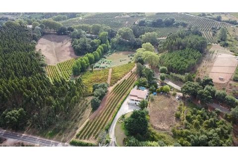 Villa a A dos Francos, Leiria, A dos Francos - € 495.000 | Ref: MM-CA 2335 - foto 18