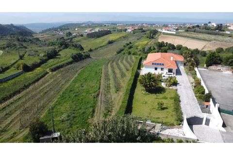 Villa i Alcobaca, Leiria, Alcobaca - € 975.000 | Ref: MM-CA2308 - foto 20