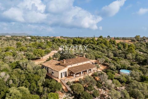 Villa a Port De Manacor, Mallorca, Port De Manacor - € 1.595.000 | Ref: 1825 - foto 25