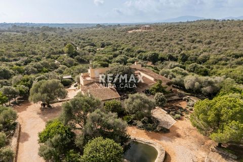 Villa a Port De Manacor, Mallorca, Port De Manacor - € 1.595.000 | Ref: 1825 - foto 26