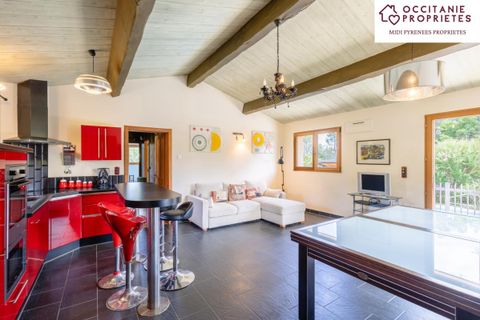 Villa a Pamiers, Ariege, Pamiers - € 780.000 | Ref: 13_2537 - foto 11