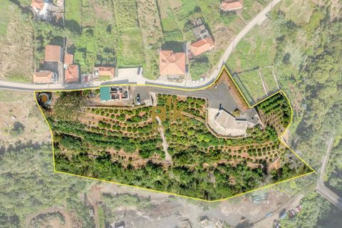 Villa i Santana, Madeira, Santana - € 1.380.000 | Ref: RK11849 - foto 3