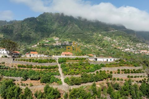 Villa i Santana, Madeira, Santana - € 1.380.000 | Ref: RK11849 - foto 4