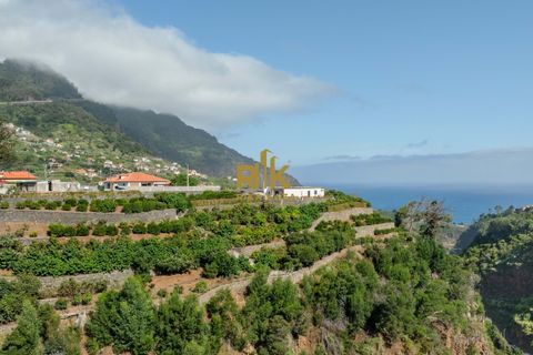 Villa i Santana, Madeira, Santana - € 1.380.000 | Ref: RK11849 - foto 6