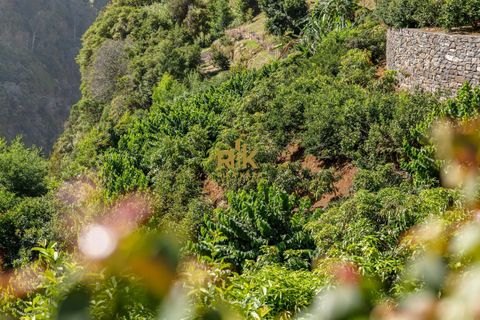 Villa i Santana, Madeira, Santana - € 1.380.000 | Ref: RK11849 - foto 11