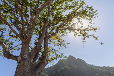 Villa i Santana, Madeira, Santana - € 1.380.000 | Ref: RK11849 - foto 16