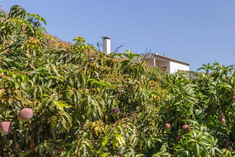 Villa i Santana, Madeira, Santana - € 1.380.000 | Ref: RK11849 - foto 18