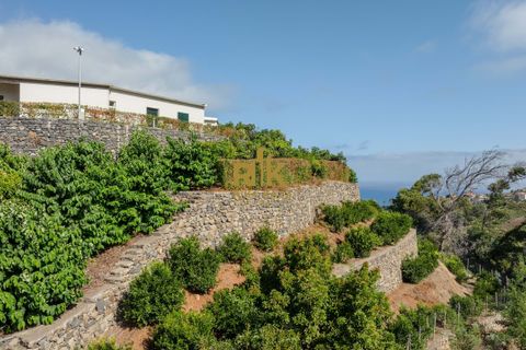 Villa i Santana, Madeira, Santana - € 1.380.000 | Ref: RK11849 - foto 37
