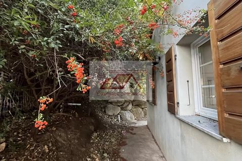 Villa i Montegrosso, Haute-Corse, Montegrosso - € 577.500 | Ref: 945 - foto 5