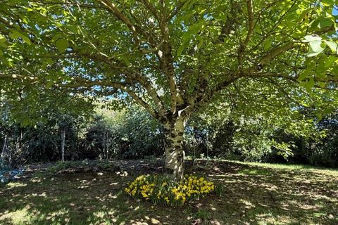Villa a Verteuil-sur-Charente, Charente, Verteuil-sur-Charente - € 234.000 | Ref: r7364 - foto 34