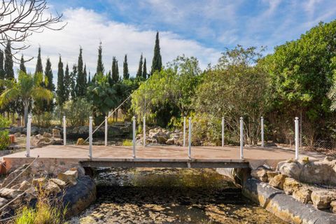 Landejendom i Catral, Alicante, Catral - € 975.000 | Ref: CSPR-43408 - foto 35