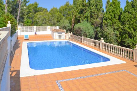Villa i Pedreguer, Alicante, Pedreguer - € 510.000 | Ref: MCO-24815 - foto 38