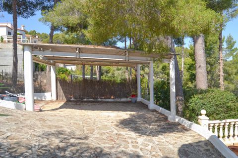 Villa i Pedreguer, Alicante, Pedreguer - € 510.000 | Ref: MCO-24815 - foto 43
