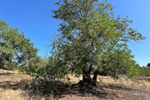 Helårsgrund i Tavira, Faro, Tavira - € 75.000 | Ref: 148352 - foto 2