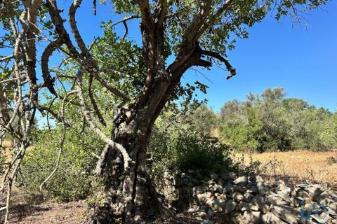 Helårsgrund i Tavira, Faro, Tavira - € 75.000 | Ref: 148352 - foto 4
