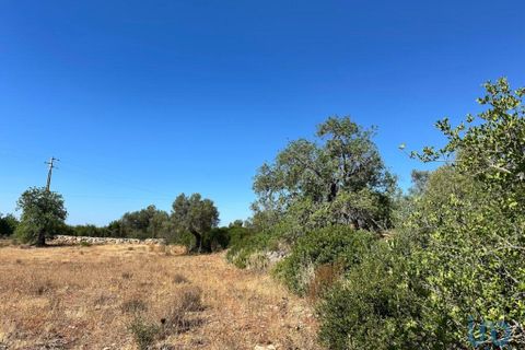 Helårsgrund i Tavira, Faro, Tavira - € 75.000 | Ref: 148352 - foto 5