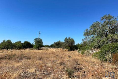 Helårsgrund i Tavira, Faro, Tavira - € 75.000 | Ref: 148352 - foto 6