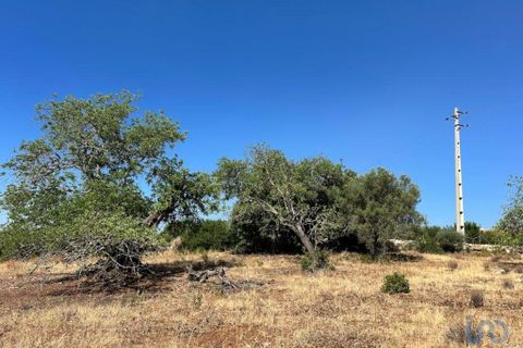 Helårsgrund i Tavira, Faro, Tavira - € 75.000 | Ref: 148352 - foto 7