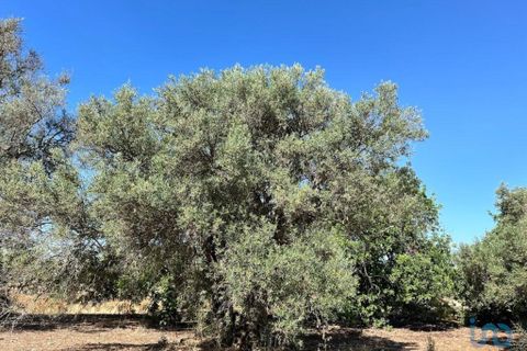 Helårsgrund i Tavira, Faro, Tavira - € 75.000 | Ref: 148352 - foto 8