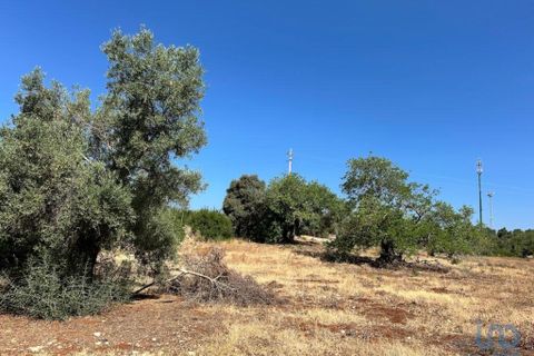 Helårsgrund i Tavira, Faro, Tavira - € 75.000 | Ref: 148352 - foto 9