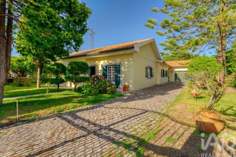 Byhus i Marinha Grande, Leiria, Marinha Grande - € 465.000 | Ref: 148619 - foto 26