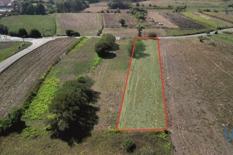 Helårsgrund i Aveiro, Aveiro, Aveiro - € 25.000 | Ref: 149086 - foto 2