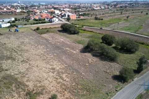 Helårsgrund i Aveiro, Aveiro, Aveiro - € 25.000 | Ref: 149086 - foto 3