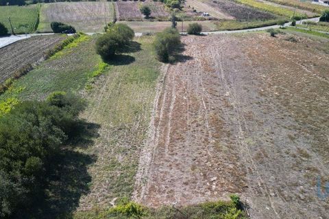 Helårsgrund i Aveiro, Aveiro, Aveiro - € 25.000 | Ref: 149086 - foto 4