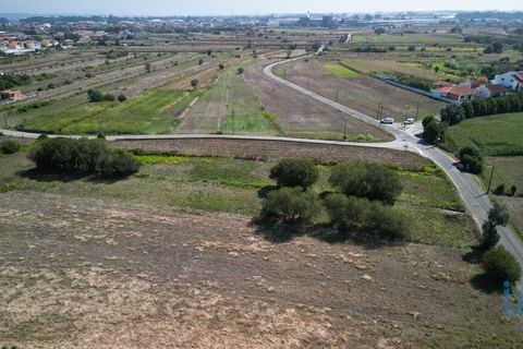 Helårsgrund i Aveiro, Aveiro, Aveiro - € 25.000 | Ref: 149086 - foto 5